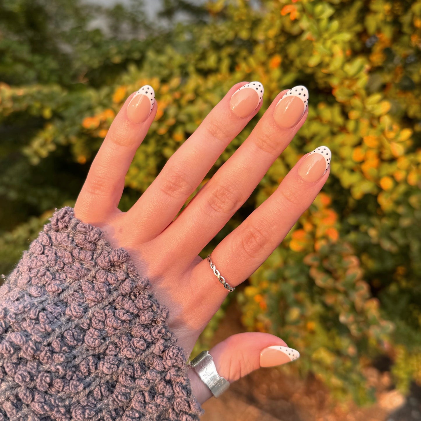 dotted frenchie (RTS)