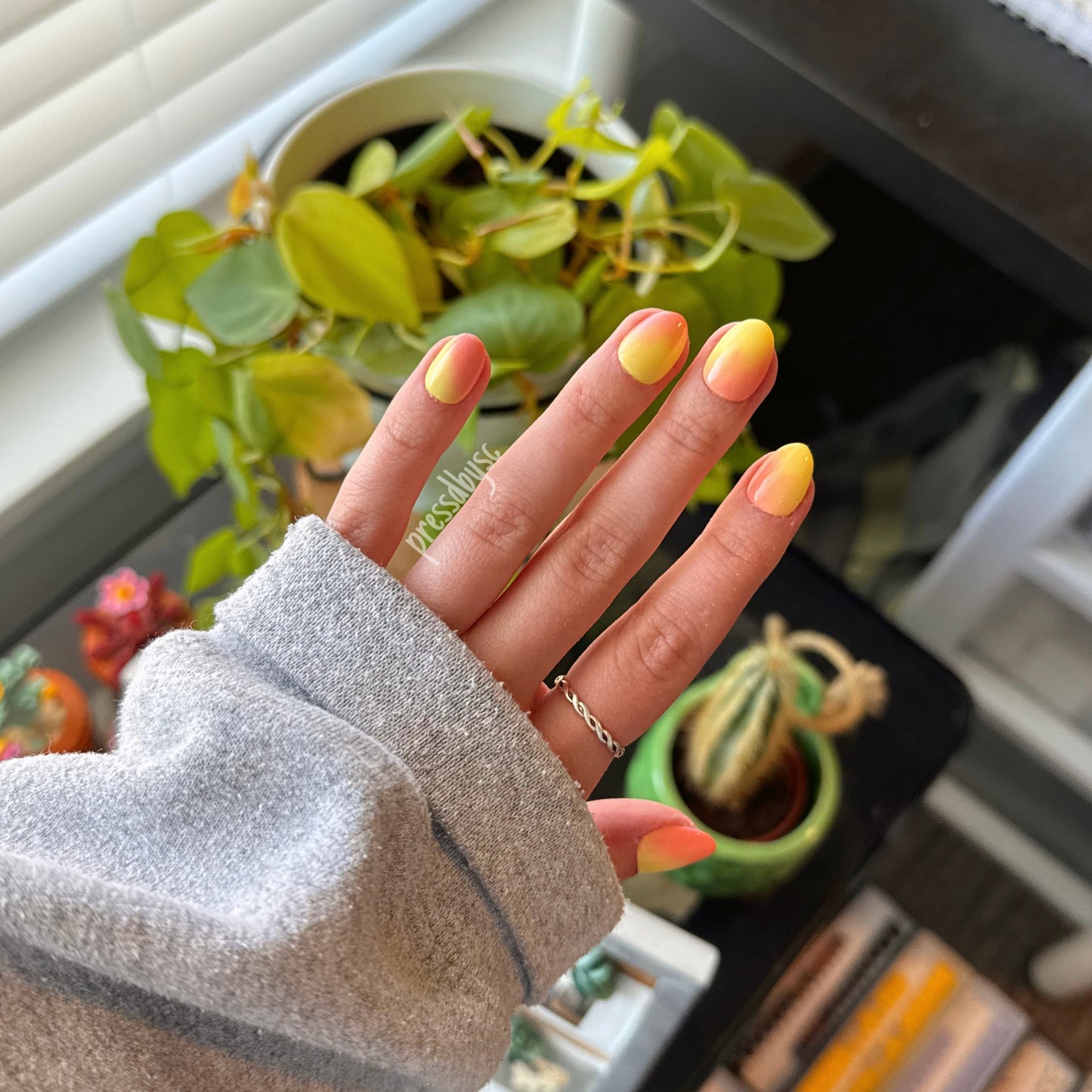 peach bellini