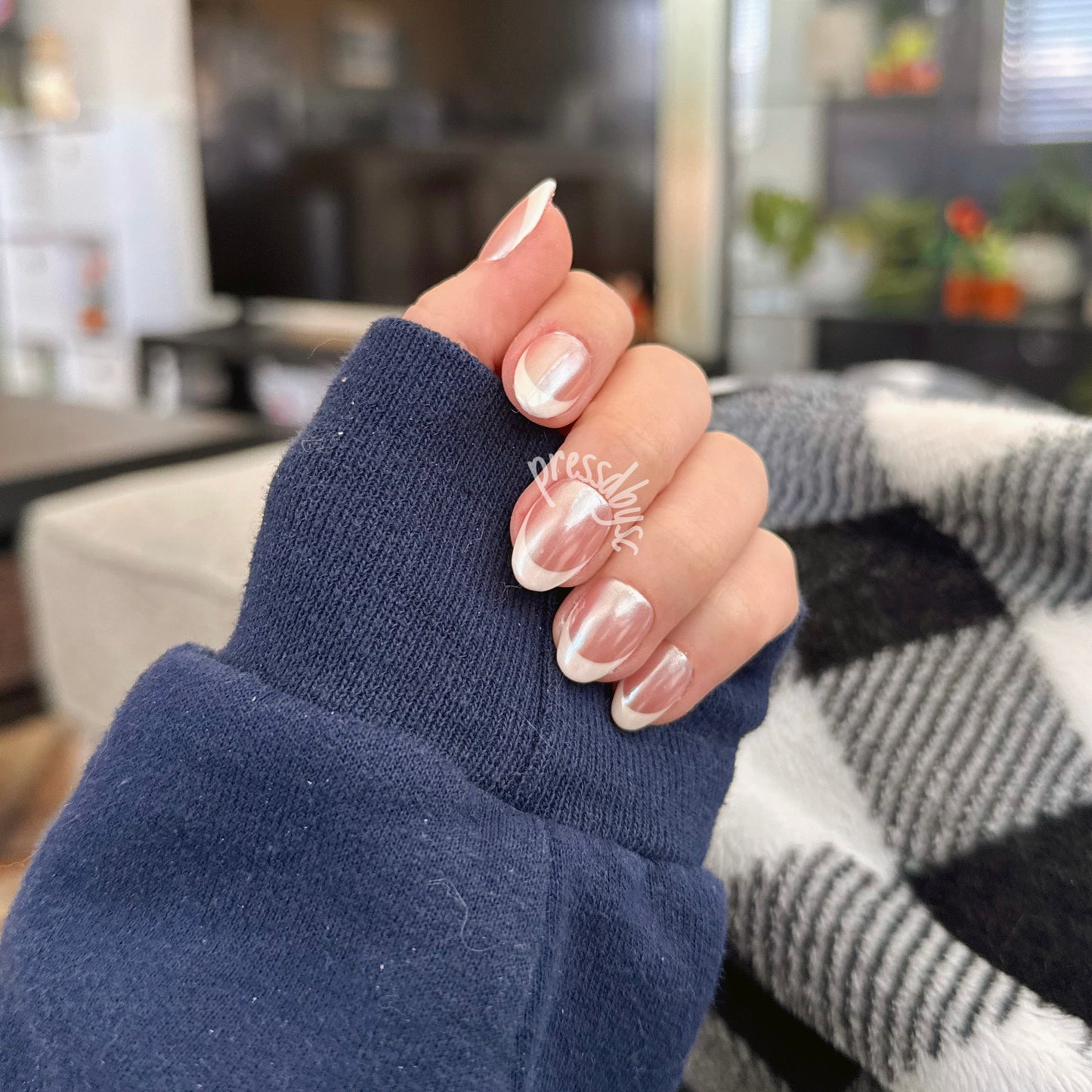 glazed frenchie