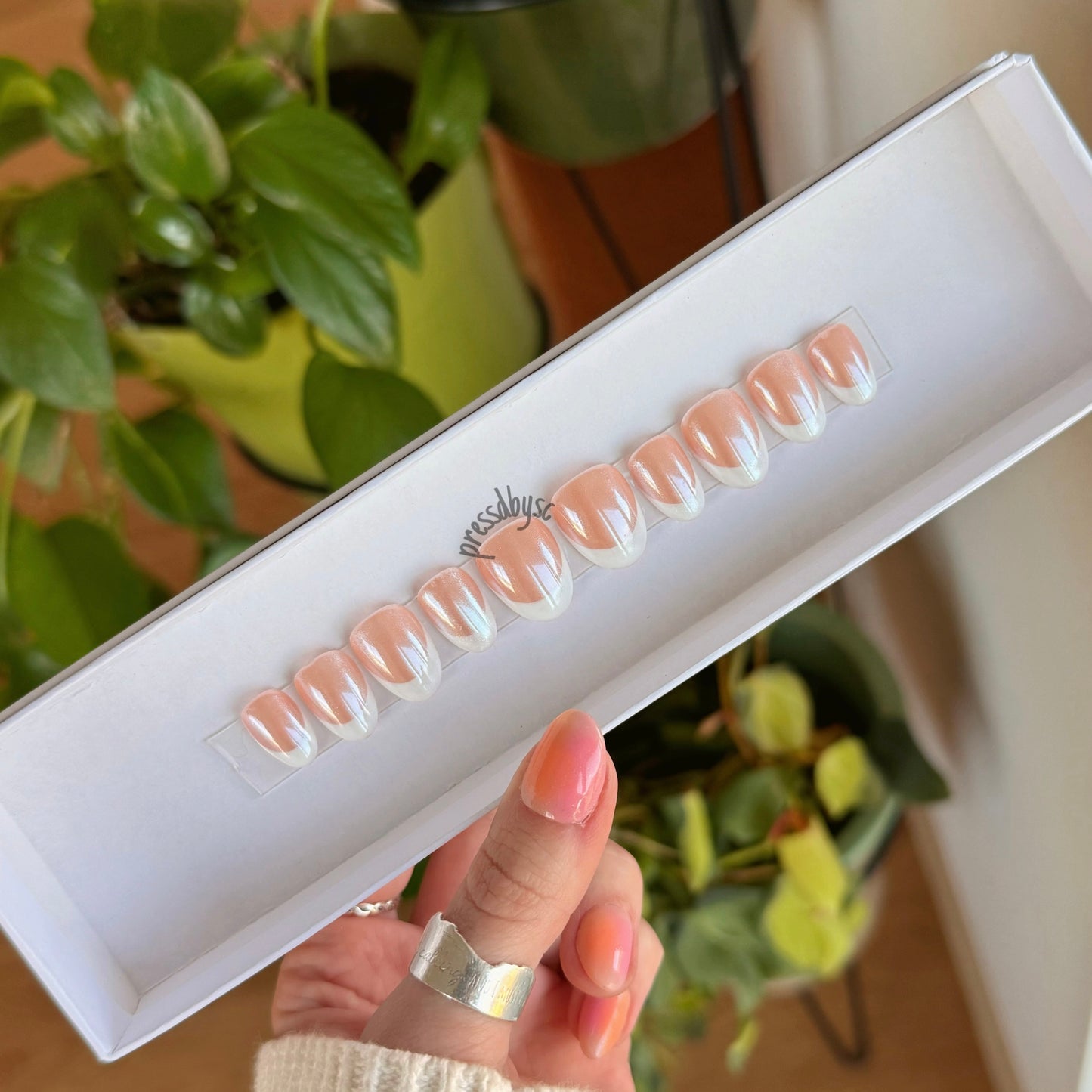 glazed frenchie