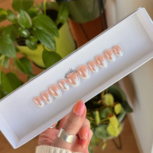 glazed frenchie